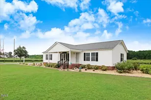 290 Wellons-Boyette Rd, Princeton, NC 27569 - Photo 2