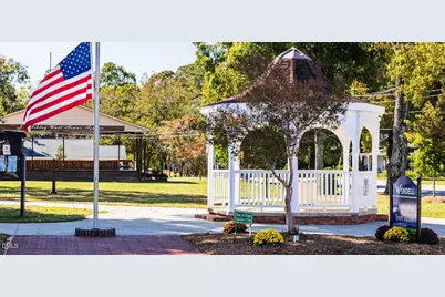 110 Sepals Place, Wendell, NC 27591 - Photo 36