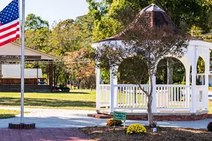 110 Sepals Pl, Wendell, NC 27591 - Photo 36