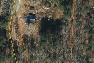 4620 Sams Rd, Mebane, NC 27302 - Photo 22