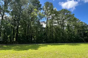 18 Alex Acres Way, Selma, NC 27576 - Photo 18