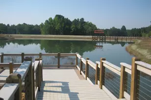 520 Hallburg Ct, Wake Forest, NC 27587 - Photo 66