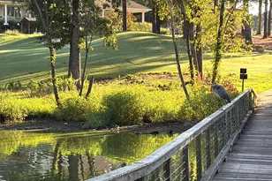 520 Hallburg Ct, Wake Forest, NC 27587 - Photo 68