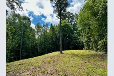 Lot 3 Grapevine Drive, Roxboro, NC 27574 - Photo 16