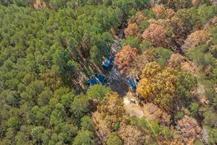 545 Deer Tail Ln, Fuquay Varina, NC 27526 - Photo 30