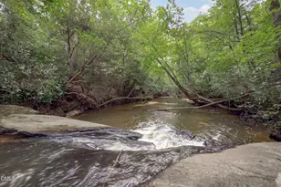 545 Deer Tail Ln, Fuquay Varina, NC 27526 - Photo 4