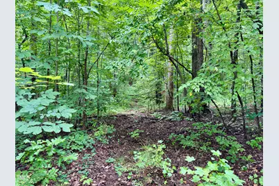 3901 Old Nc 86, Hillsborough, NC 27278 - Photo 6