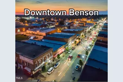 236 White Azalea Way, Benson, NC 27504 - Photo 16