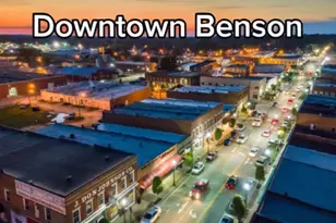 236 White Azalea Wy, Benson, NC 27504 - Photo 16