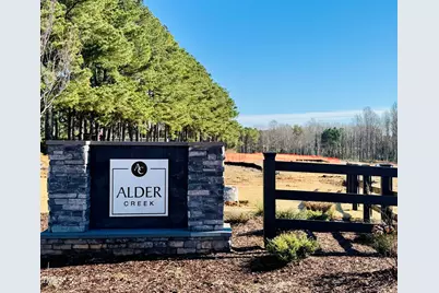 236 White Azalea Way, Benson, NC 27504 - Photo 2