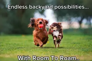 236 White Azalea Wy, Benson, NC 27504 - Photo 16