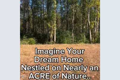 272 White Azalea Way, Benson, NC 27504 - Photo 22