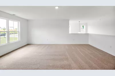 272 White Azalea Way, Benson, NC 27504 - Photo 10