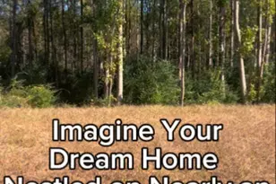 69 White Azalea Wy, Benson, NC 27504 - Photo 14