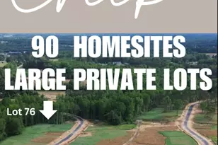 69 White Azalea Wy, Benson, NC 27504 - Photo 10