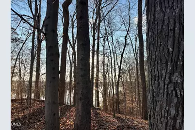 1002 Pleasant Drive, Mebane, NC 27302 - Photo 58