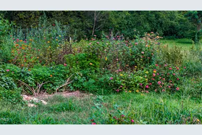 1529 Hillside Dairy Road, Pittsboro, NC 27312 - Photo 88