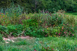 1529 Hillside Dairy Rd, Pittsboro, NC 27312 - Photo 88