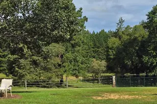 4562 Hight Rd, Oxford, NC 27565 - Photo 42