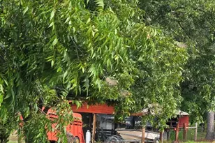 4562 Hight Rd, Oxford, NC 27565 - Photo 12