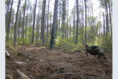 0 Richardson Road, Warrenton, NC 27589 - Photo 2