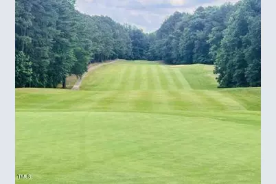 118 Rustler Road, Louisburg, NC 27549 - Photo 4