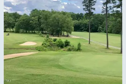 118 Rustler Road, Louisburg, NC 27549 - Photo 6