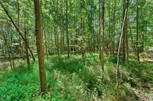 4110 Wilson Town Rd, Oxford, NC 27565 - Photo 1