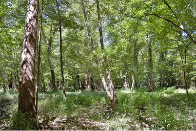 0 Nc Highway 33, Tarboro, NC 27886 - Photo 70