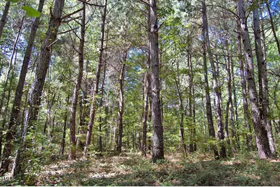 0 Nc Highway 33, Tarboro, NC 27886 - Photo 52