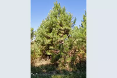 0 Nc Highway 33, Tarboro, NC 27886 - Photo 22