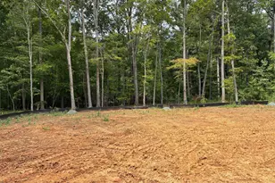 126 Roberson Creek Rd, Pittsboro, NC 27312 - Photo 10