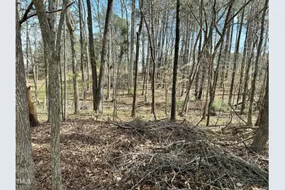 5034 Mimosa Drive, Durham, NC 27713 - Photo 4