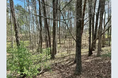 5034 Mimosa Drive, Durham, NC 27713 - Photo 8