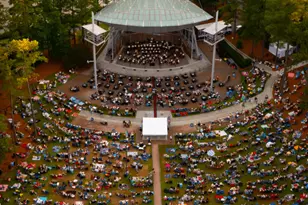 2554 Vining Br Wy, Apex, NC 27523 - Photo 54