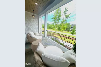 339 Lila Drive, Pittsboro, NC 27312 - Photo 46