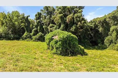 237 Martin Road, Norlina, NC 27563 - Photo 2