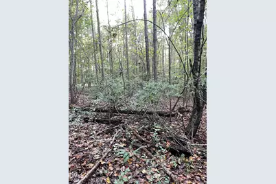 2865 Silk Hope Gum Springs Road, Pittsboro, NC 27312 - Photo 6