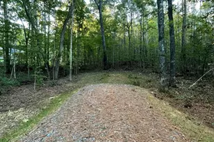 2865 Silk Hope Gum Springs Rd, Pittsboro, NC 27312 - Photo 1