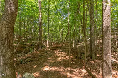 204 Alta Court, Chapel Hill, NC 27514 - Photo 8