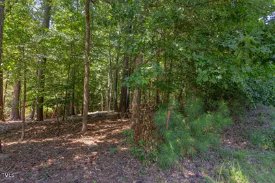 204 Alta Court, Chapel Hill, NC 27514 - Photo 4