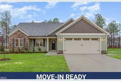 112 Prosecco Drive #(Lot 243), Princeton, NC 27569 - Photo 1