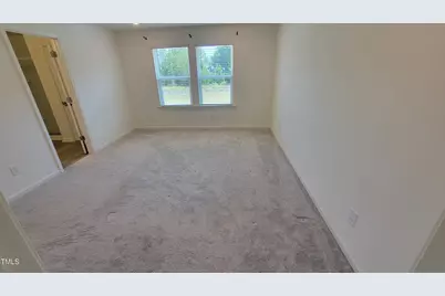 330 Purple Aster Street, Youngsville, NC 27596 - Photo 12