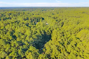 3122 Willow Creek Dr, Wake Forest, NC 27587 - Photo 28