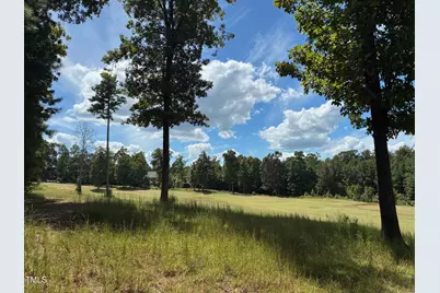 48 Sweet Meadow Lane, Pittsboro, NC 27312 - Photo 1