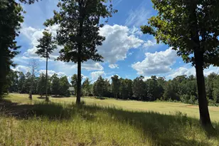 48 Sweet Meadow Ln, Pittsboro, NC 27312 - Photo 1