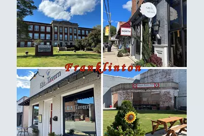 20 Lemon Drop Lane, Franklinton, NC 27525 - Photo 14