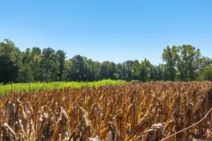 2892 Silk Hope Liberty Rd, Siler City, NC 27344 - Photo 60