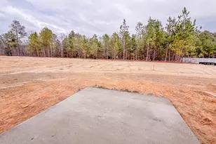 413 Beacon Hl Rd, Lillington, NC 27546 - Photo 24