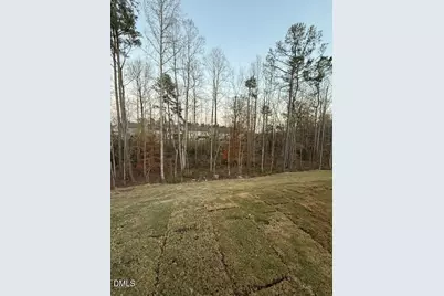 265 Sugar Pine Drive, Franklinton, NC 27525 - Photo 30